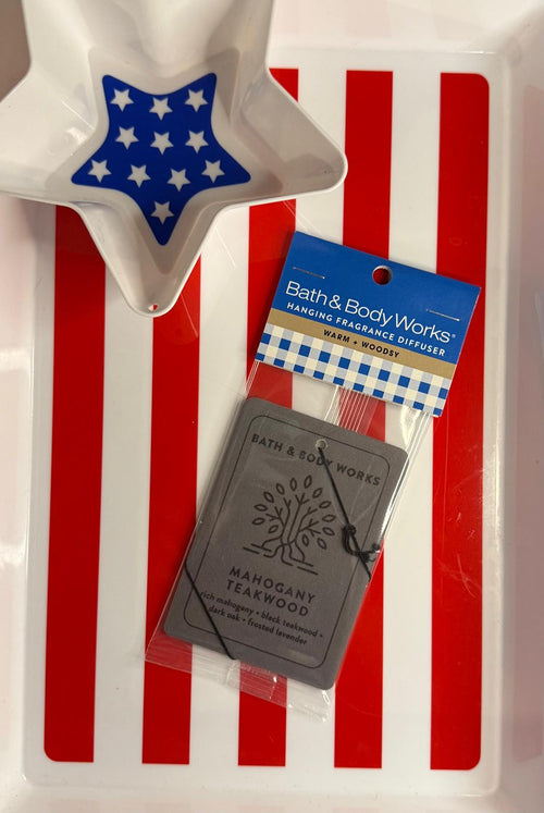 Bath & Bodyworks Car Fragrance