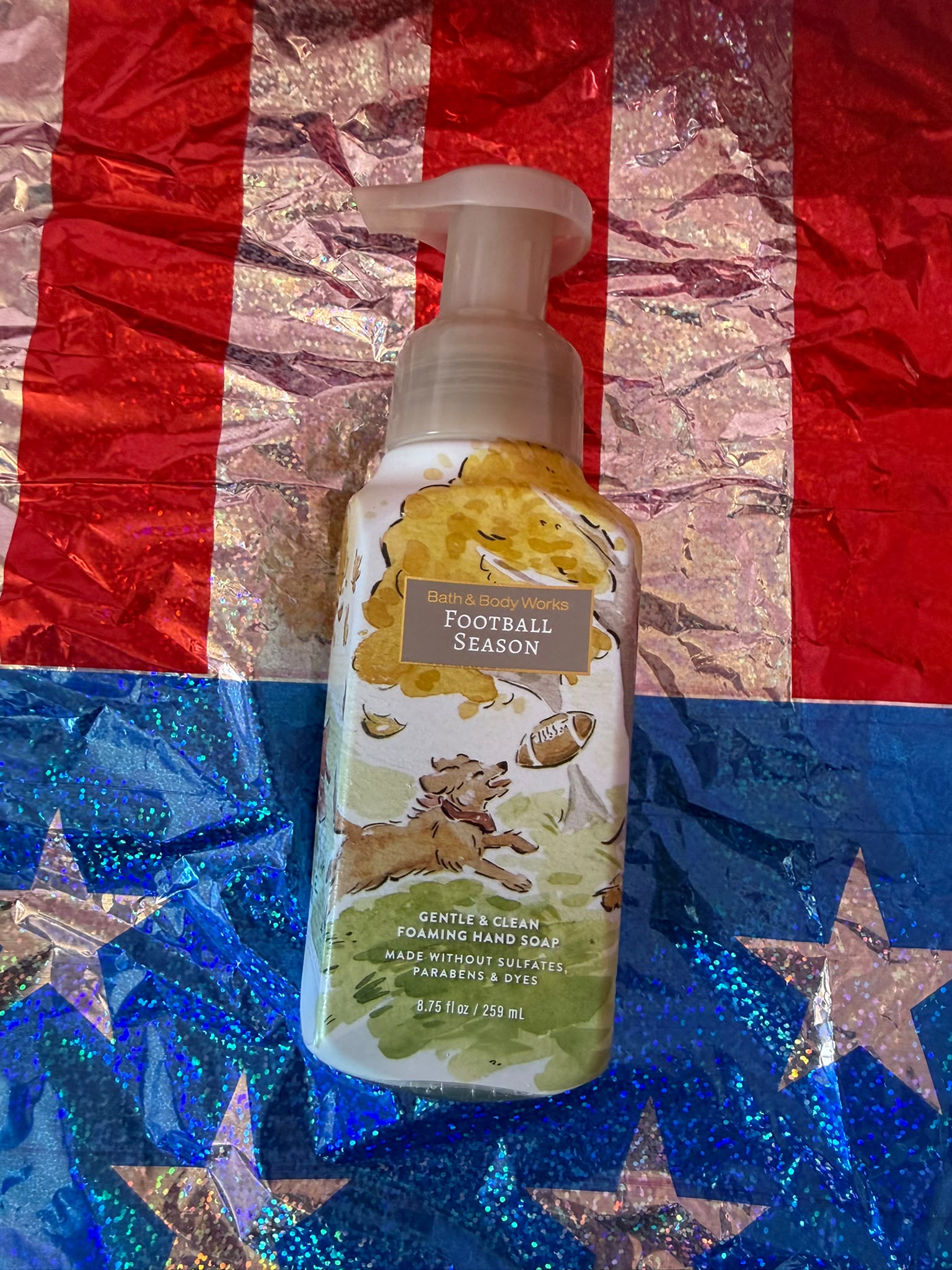 Bath & Bodyworks Foaming Hand Soap - Football Season