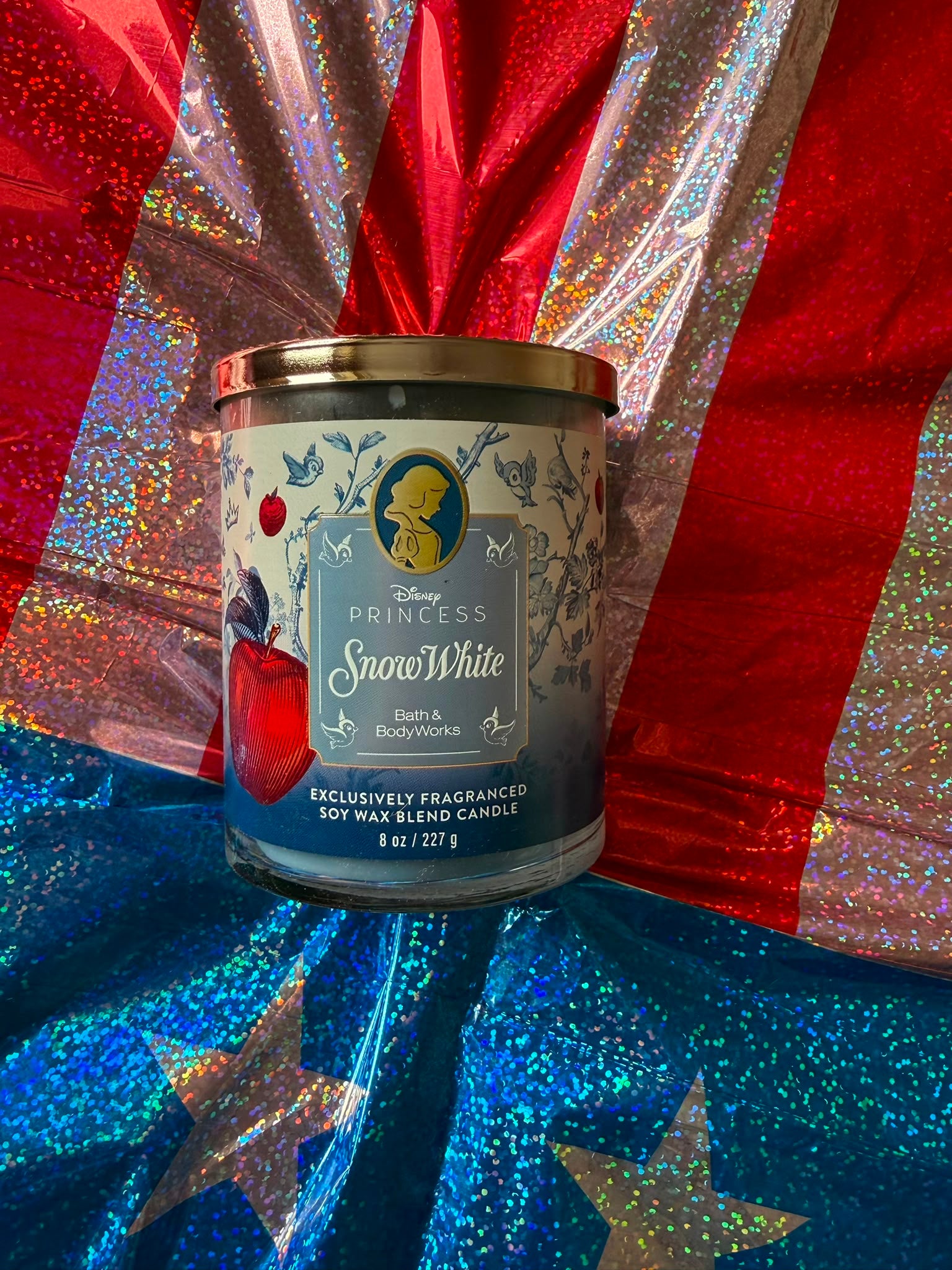 Bath & Bodyworks Single Wick Candle